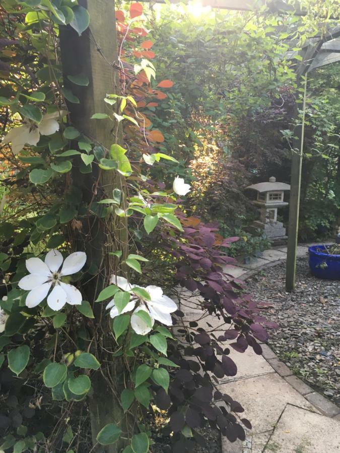 The Lavender Room Saundersfoot Esterno foto